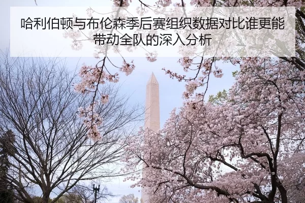 哈利伯顿与布伦森季后赛组织数据对比谁更能带动全队的深入分析
